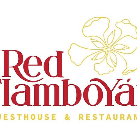 Red Flamboyan Guesthouse And Restaurant Rincón Eksteriør billede