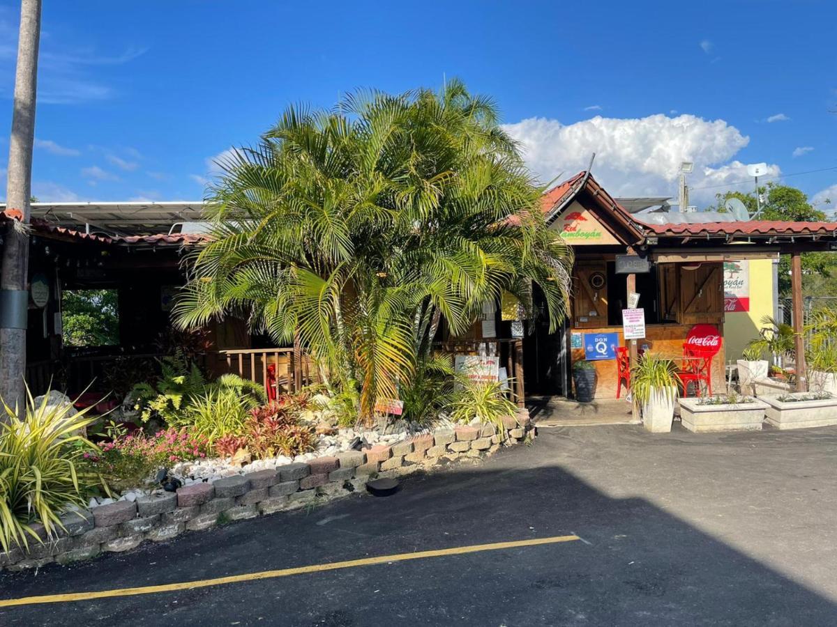 Red Flamboyan Guesthouse And Restaurant Rincón Eksteriør billede
